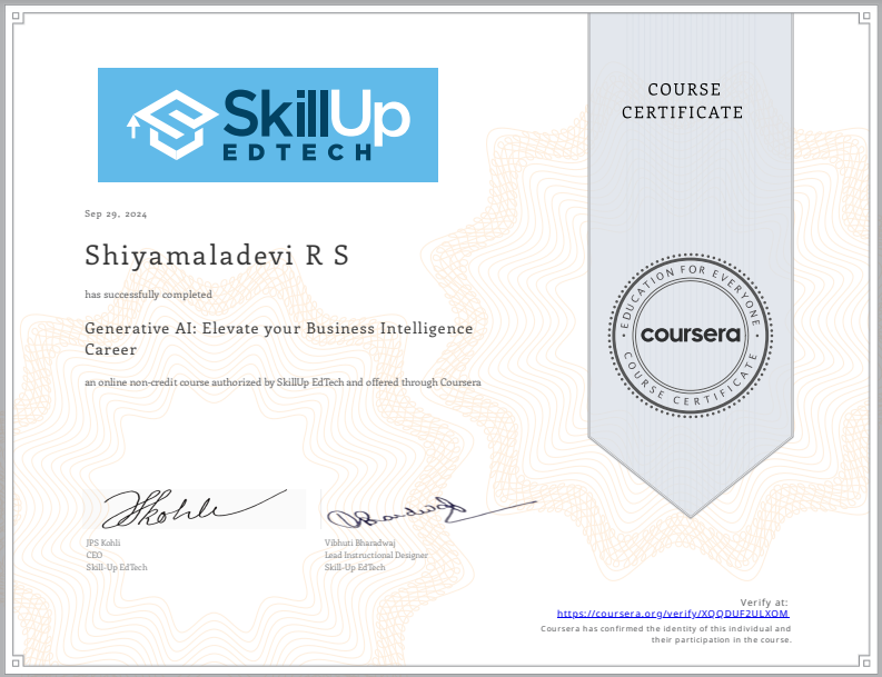 SkillUp BI Certificate